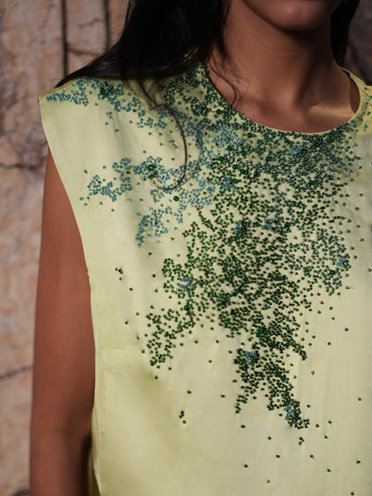 The Abstraction Top Set